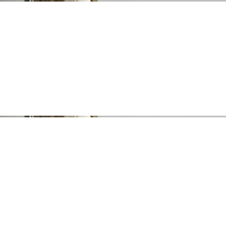 Lorena | Modern Tote Bag